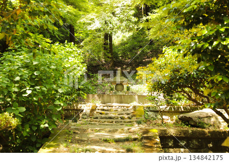 新緑の日本庭園と池のほとりに続く美しい石畳の風景 134842175