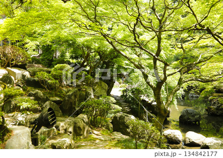 静寂な和風庭園の景色、初夏の光に輝く瑞々しい庭園のデザイン 静寂な和風庭園の景色、初夏の光に輝く瑞々しい庭園のデザイン 134842177