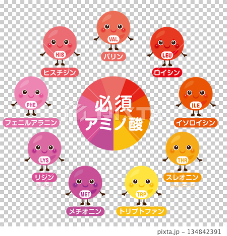 Essential amino acid character illustration set in Japanese Essential amino acid character illustration set in Japanese 134842391