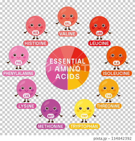 Essential amino acid character illustration set in English 134842392