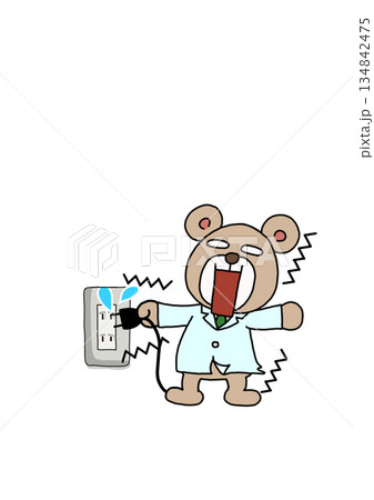 電気コンセントで感電するクマ 電気コンセントで感電するクマ 134842475