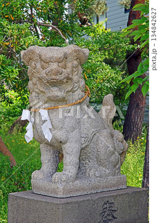 湊八幡宮（上越） 134842627