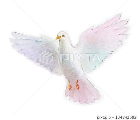 水彩 鳩 平和 安心 羽ばたく鳥 水彩 鳩 平和 安心 羽ばたく鳥 134842682