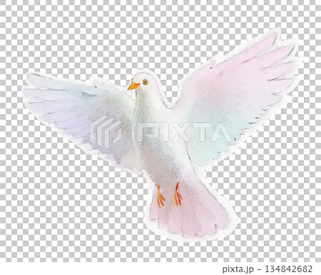 水彩鴿，和平與安全，拍打著翅膀的鳥 134842682