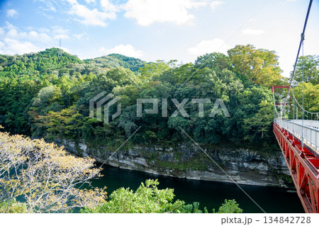 桜淵公園 蜂の巣岩と笠岩橋(愛知県新城市) 桜淵公園 蜂の巣岩と笠岩橋(愛知県新城市) 134842728