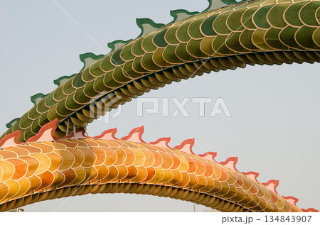 Ornaments resembling a dragon. Ornaments resembling a dragon. 134843907
