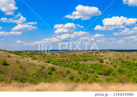 Spring landscape with green trees, meadows, fields and blue sky Spring landscape with green trees, meadows, fields and blue sky 134843990