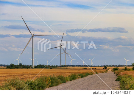 Wind turbines in a field. Renewable energy 134844027