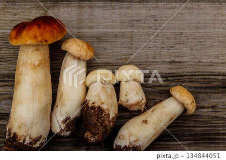 Freshly picked porcini mushrooms on rustic wooden table. Top view Freshly picked porcini mushrooms on rustic wooden table. Top view 134844051