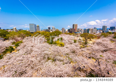 桜咲く春の福岡県・舞鶴公園にある福岡城天守閣から見た福岡市街地の都市風景 134844089