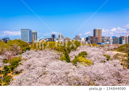 桜咲く春の福岡県・舞鶴公園にある福岡城天守閣から見た福岡市街地の都市風景と青空 桜咲く春の福岡県・舞鶴公園にある福岡城天守閣から見た福岡市街地の都市風景と青空 134844090