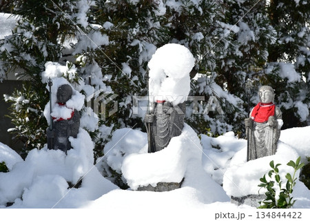 雪の嵯峨薬師寺 雪の嵯峨薬師寺 134844422