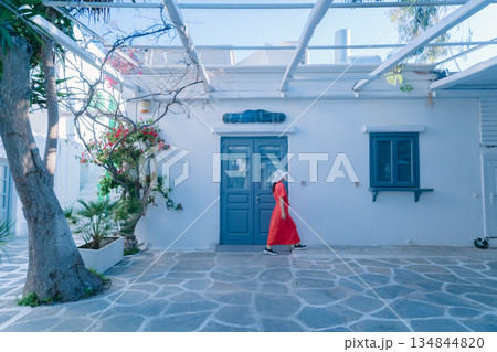 ギリシャのサントリーニの美しい風景 134844820