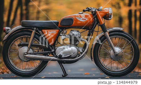 Classic Orange Motorcycle in Autumnal Forest Setting 134844979