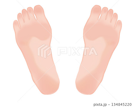 シンプルな足のイラスト 134845220