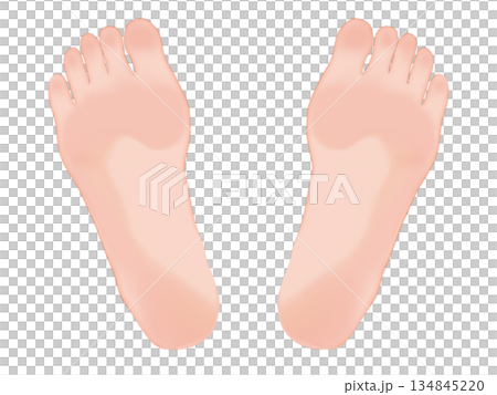 シンプルな足のイラスト 134845220