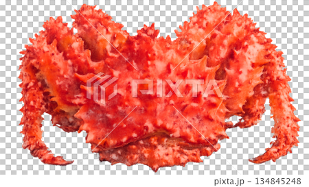 Aerial view of Hanasaki crab 134845248