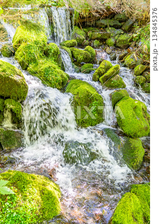 槍沢登山道から見るワサビ沢の渓流　槍ヶ岳登山 134845376