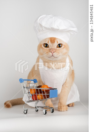 A cat chef with a cart of groceries A cat chef with a cart of groceries 134845481