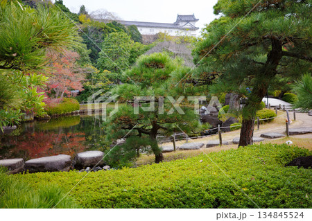 姫路市・姫路城西御屋敷跡庭園・好古園の紅葉 134845524