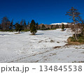 雪不足のスキー場 134845538