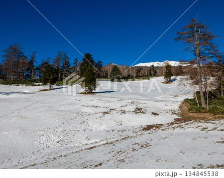 雪不足のスキー場 134845538