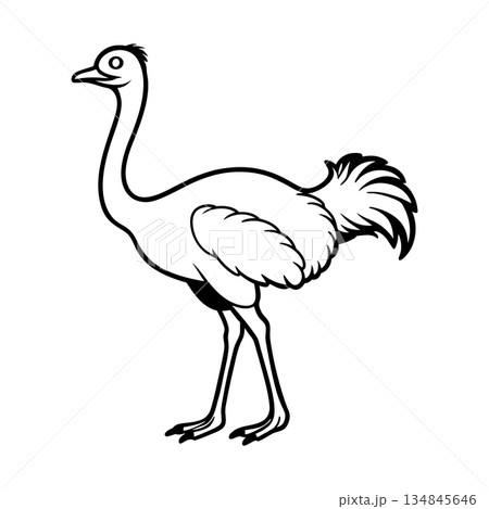 Cartoon ostrich illustration in black and white standing tall proudly Cartoon ostrich illustration in black and white standing tall proudly 134845646