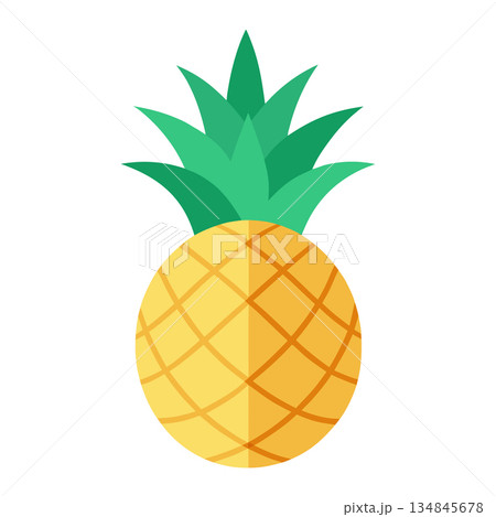 Vibrant Pineapple Illustration Graphic Design Element Tropical Fruit Icon Isolated 134845678