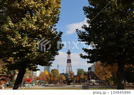 さっぽろテレビ塔 さっぽろテレビ塔 134845990