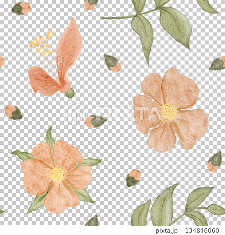Seamless watercolor floral pattern, small peach blossoms scattered on white. Minimal botanical surface design for fashion textiles, fabric printing, packaging, stationery, modern lifestyle branding 134846060