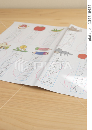 小学生の国語の宿題プリント 小学生の国語の宿題プリント 134846423