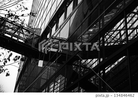 ガラスの中の骨組み 134846462