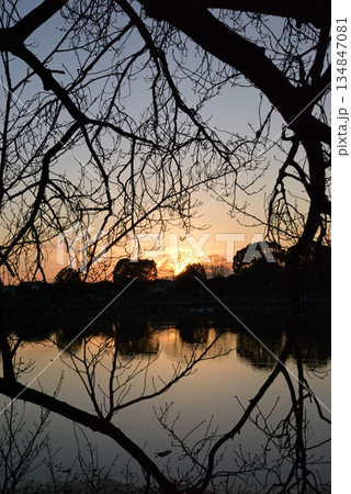CCD 1M画素センサー:水面に映る夕日 CCD 1M画素センサー:水面に映る夕日 134847081