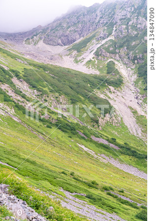 天狗原から見る槍沢のグリーンバンド　槍沢から大キレット縦走登山 134847090