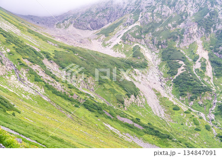 天狗原から見る槍沢のグリーンバンド 槍沢から大キレット縦走登山 天狗原から見る槍沢のグリーンバンド 槍沢から大キレット縦走登山 134847091