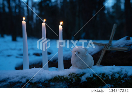 Wiccan altar for Imbolc holiday. Brigids cross of straw, candles, witch doll ram/sheep on snow. witchcraft, magic pagan ritual. 134847282