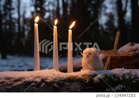 Wiccan altar for Imbolc holiday. Brigids cross of straw, candles, witch doll ram/sheep on snow. witchcraft, magic pagan ritual. 134847283