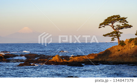 立石公園から望む富士山 立石公園から望む富士山 134847379