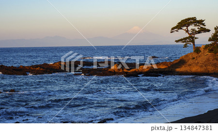 立石公園から望む富士山 立石公園から望む富士山 134847381