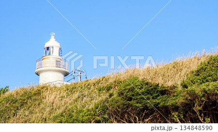 神奈川県最南端城ヶ島の冬 134848590