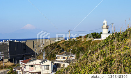 神奈川県最南端城ヶ島の冬 134848593