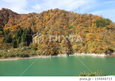 黒部鉄道 トロッコ電車から見えるコバルト色の黒部川と紅葉に染まる山 黒部鉄道 トロッコ電車から見えるコバルト色の黒部川と紅葉に染まる山 134848713
