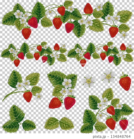 【草莓圖案及線條組】手工刺繡插畫素材 134848764