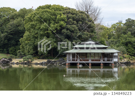 晩秋の清澄庭園の風景 晩秋の清澄庭園の風景 134849223