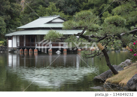 晩秋の清澄庭園の風景 晩秋の清澄庭園の風景 134849232