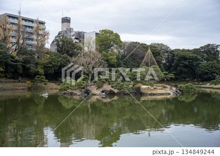 晩秋の清澄庭園の風景 晩秋の清澄庭園の風景 134849244