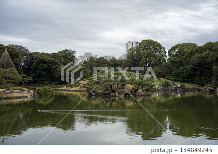 晩秋の清澄庭園の風景 晩秋の清澄庭園の風景 134849245