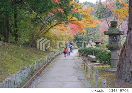 三景園の遊歩道と紅葉 三景園の遊歩道と紅葉 134849708