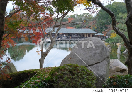 三景園の庭石ともみじ 134849712