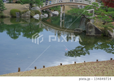 三景園の池の景色 三景園の池の景色 134849714